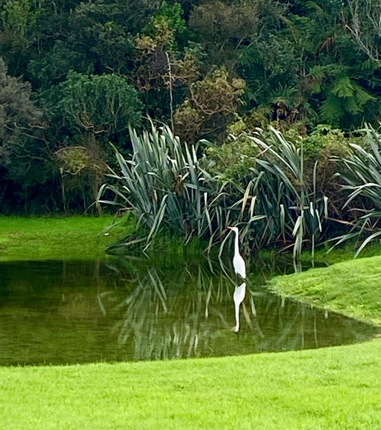 20250517 231415400 Ios